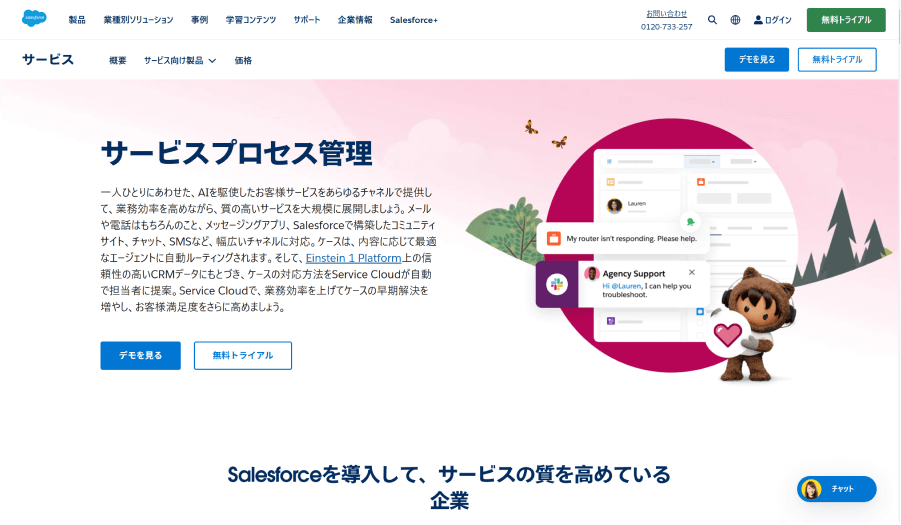 Service Cloud