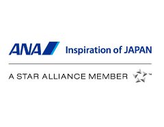 ANAシステムズ株式会社